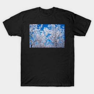 Alberta, Canada winter. T-Shirt